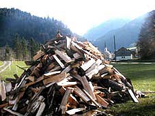 Holz zeigt optimale Heizwerte bei geringem Schadstoffausstoß
